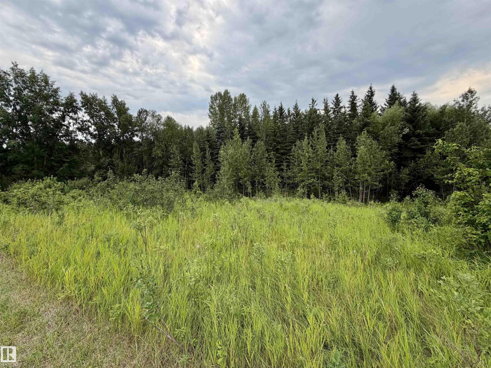 54046 RGE ROAD 213 - Image 52