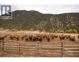 44813 Highway 99 N, Cache Creek, BC V0K1V0 Photo 30