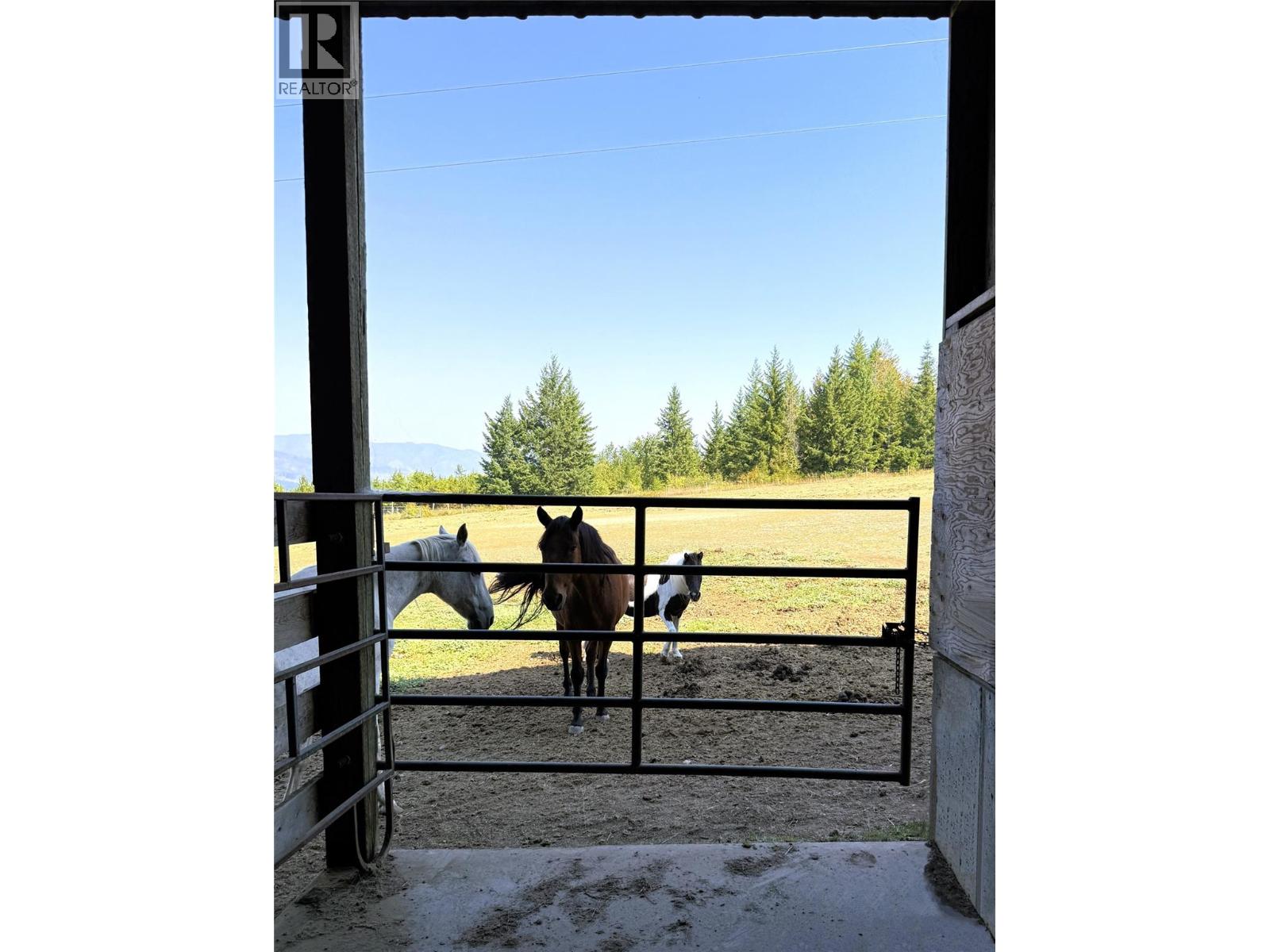 1403 Notch Hill Road - 63