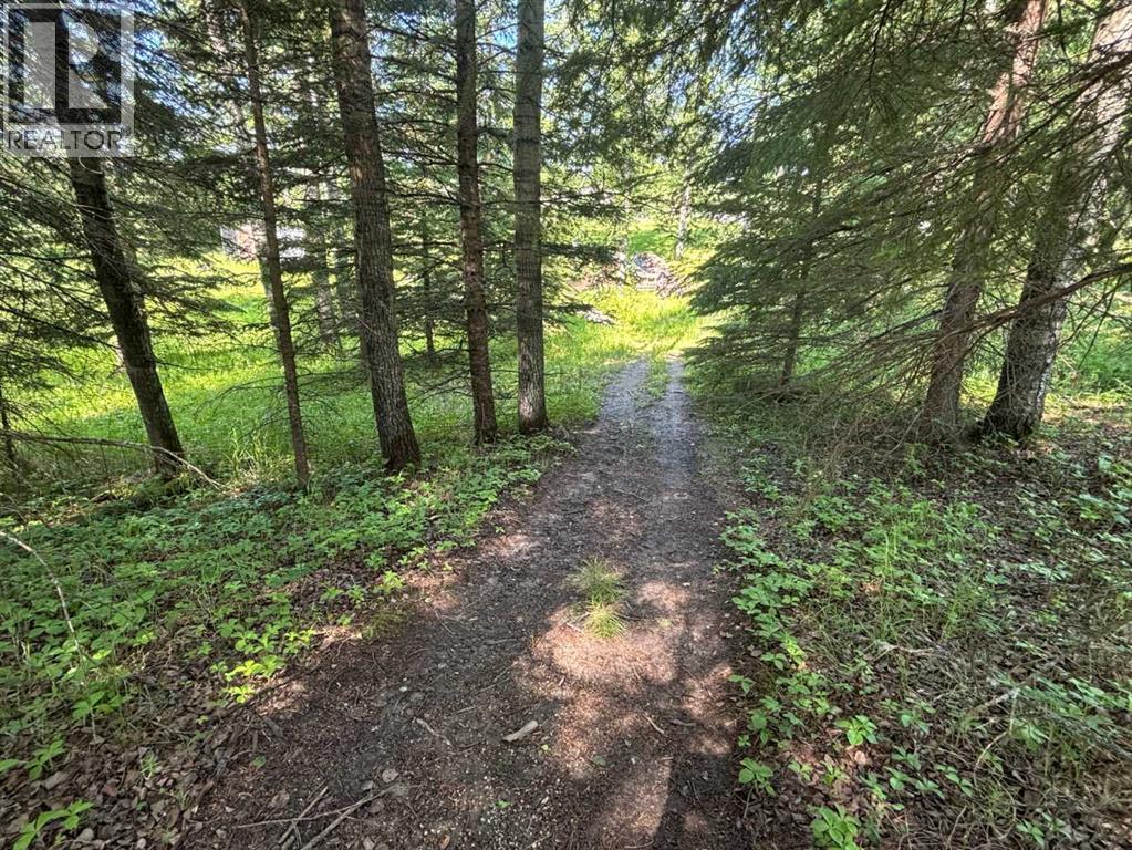 590039 Range Road 113A - 17