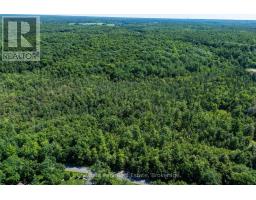 1461 Golden Beach Road, Bracebridge), ON P1L1W8 Photo 18