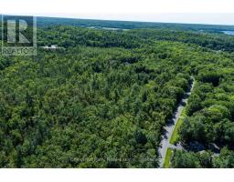 1461 Golden Beach Road, Bracebridge), ON P1L1W8 Photo 19