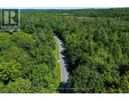 1461 Golden Beach Road, Bracebridge), ON P1L1W8 Photo 22