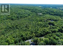 1461 Golden Beach Road, Bracebridge), ON P1L1W8 Photo 7