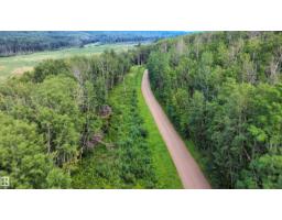 Sw-36-61-19-4 (s Of Long Lake), Rural Thorhild County, AB T0A3J0 Photo 11