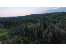 Sw-36-61-19-4 (s Of Long Lake), Rural Thorhild County, AB T0A3J0 Photo 14