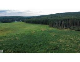 Sw-36-61-19-4 (s Of Long Lake), Rural Thorhild County, AB T0A3J0 Photo 13