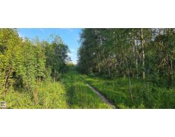 Sw-36-61-19-4 (s Of Long Lake), Rural Thorhild County, AB T0A3J0 Photo 21