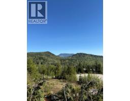 Lot C Richie Road, Rossland, BC V0G1Y0 Photo 10