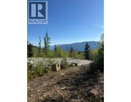 Lot C Richie Road, Rossland, BC V0G1Y0 Photo 12