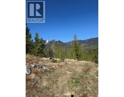 Lot C Richie Road, Rossland, BC V0G1Y0 Photo 13