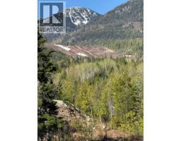 Lot C Richie Road, Rossland, BC V0G1Y0 Photo 14