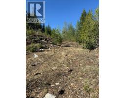 Lot C Richie Road, Rossland, BC V0G1Y0 Photo 6