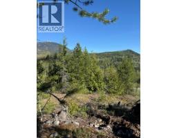 Lot C Richie Road, Rossland, BC V0G1Y0 Photo 9