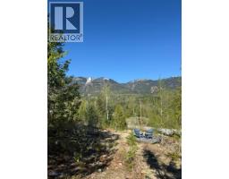 311 Richie Road, Rossland, BC V0G1Y0 Photo 10
