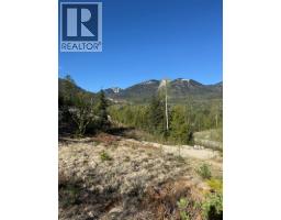 311 Richie Road, Rossland, BC V0G1Y0 Photo 8
