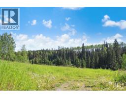 8245 N Bridge Lake Road, Bridge Lake, BC V0K1X2 Photo 28