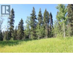 8245 N Bridge Lake Road, Bridge Lake, BC V0K1X2 Photo 31