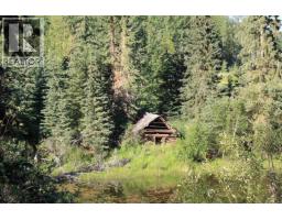 8245 N Bridge Lake Road, Bridge Lake, BC V0K1X2 Photo 35