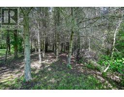 741 South Coast Drive, Haldimand, ON N0A1L0 Photo 42