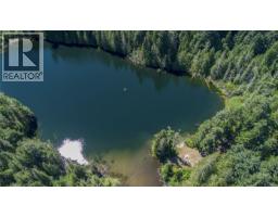 Lot 23 Goldstream Heights Dr, Shawnigan Lake, BC V0R2W3 Photo 14
