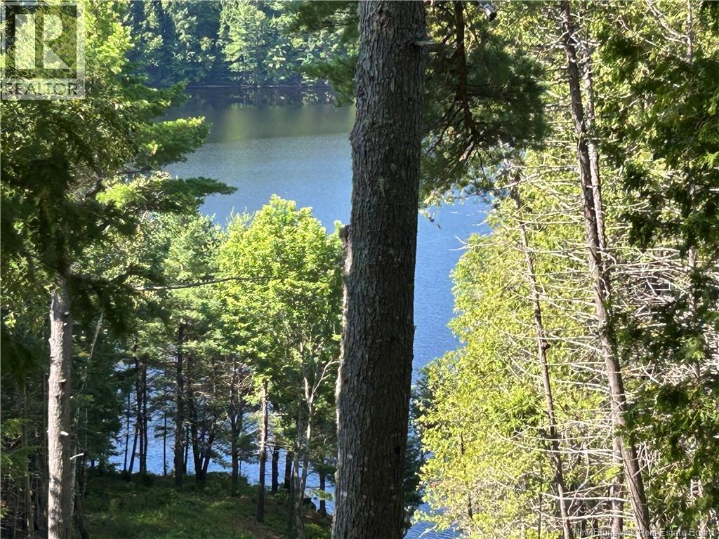 110 Woodbine Lane - 4