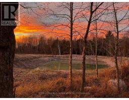 960 Lawson Road, Tiny, ON L0L1P1 Photo 41