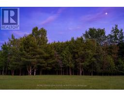 960 Lawson Road, Tiny, ON L0L1P1 Photo 42