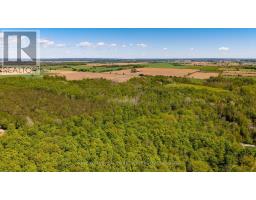 960 Lawson Road, Tiny, ON L0L1P1 Photo 43