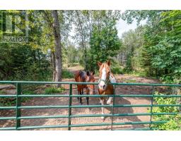 538 Lenser Road, Bonnechere Valley, ON K0J1T0 Photo 34