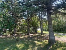 1367 Queens Street, Birtle, MB R0M0C0 Photo 32