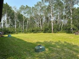 94067 Wilson Road, Shoal Lake, MB R0J1Z0 Photo 30