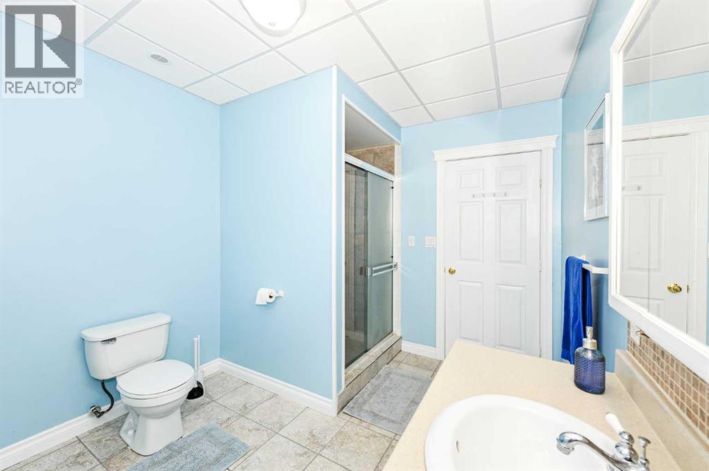 46479 Range Road 183 - Photo 39