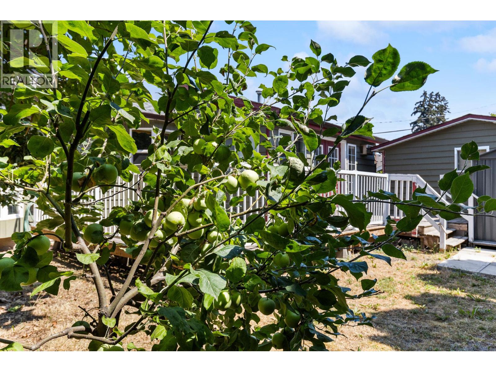 925 Sutherland Avenue - 38