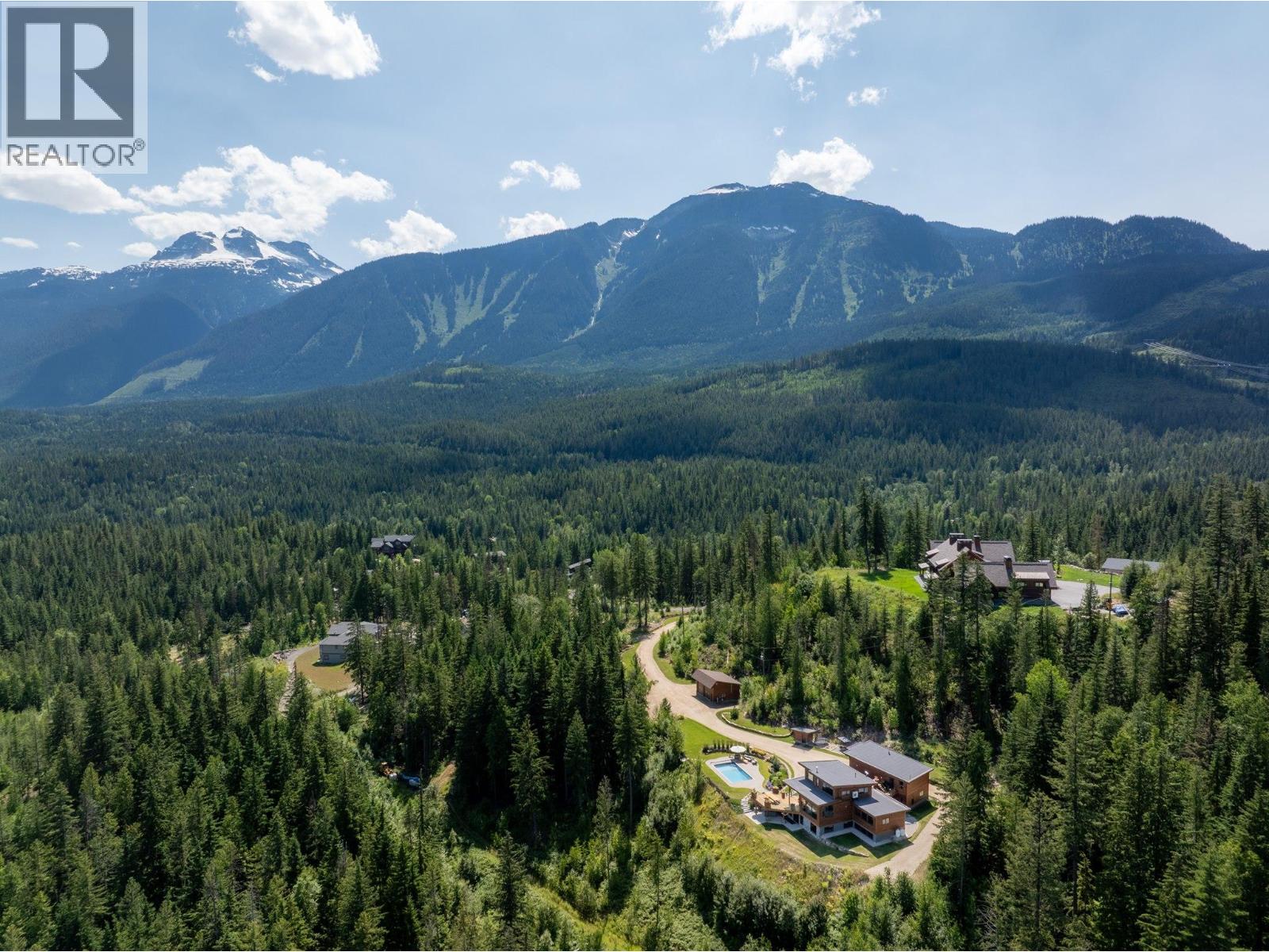 1917 Mt McPherson Drive - 46