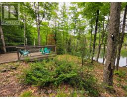 130a Finnegan Lane, Wollaston, ON K0L1P0 Photo 11