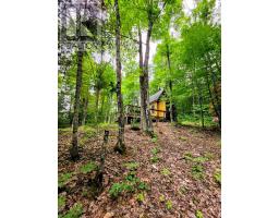 130a Finnegan Lane, Wollaston, ON K0L1P0 Photo 23