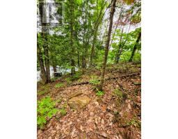 130a Finnegan Lane, Wollaston, ON K0L1P0 Photo 24