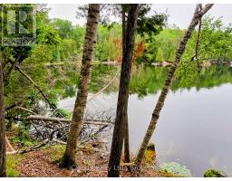 130a Finnegan Lane, Wollaston, ON K0L1P0 Photo 9