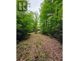 130a Finnegan Lane, Wollaston, ON K0L1P0 Photo 13