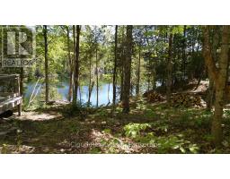 130a Finnegan Lane, Wollaston, ON K0L1P0 Photo 14