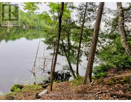 130a Finnegan Lane, Wollaston, ON K0L1P0 Photo 7