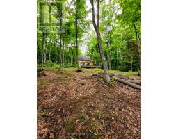 130a Finnegan Lane, Wollaston, ON K0L1P0 Photo 29