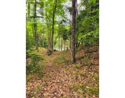 130a Finnegan Lane, Wollaston, ON K0L1P0 Photo 30