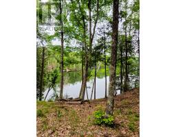 130a Finnegan Lane, Wollaston, ON K0L1P0 Photo 8
