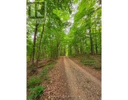 130a Finnegan Lane, Wollaston, ON K0L1P0 Photo 26