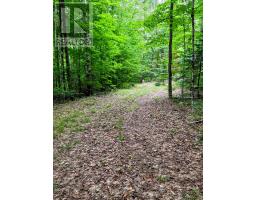 130a Finnegan Lane, Wollaston, ON K0L1P0 Photo 27