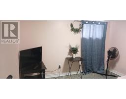 22 Alice Street, Hamilton, ON L8H4R1 Photo 9