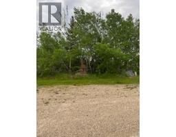 Rm Of Buchanan Acreage, Buchanan Rm No  304, SK S0A0L0 Photo 18