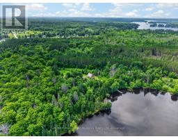 39 Fire Route 200, Mckellar, ON P2A0B4 Photo 10